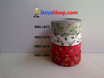 Pita RBS 1677 1680  large2